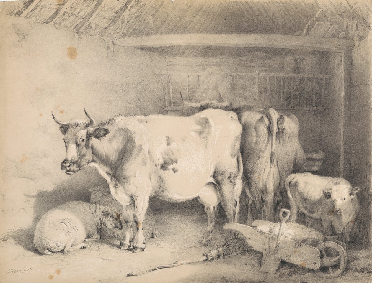 Sau og storfe i en låve av Thomas Sidney Cooper