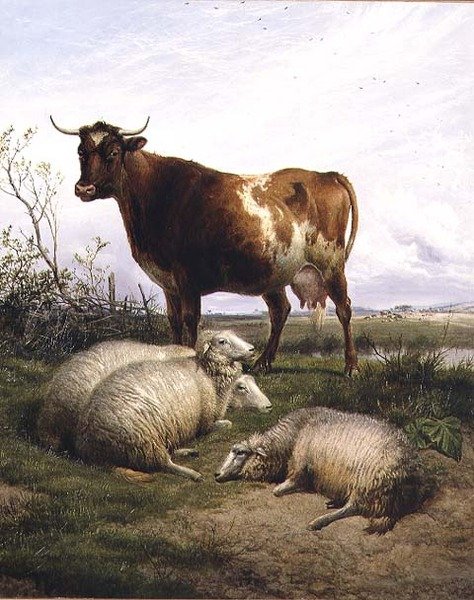 Sau og en ku beiter av Thomas Sidney Cooper