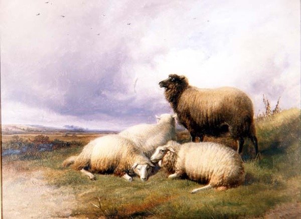 Sauer i et landskap av Thomas Sidney Cooper