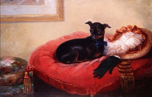 Hennes favoritt kjæledyr: en Manchester Terrier på en rød pute av Thomas Smythe