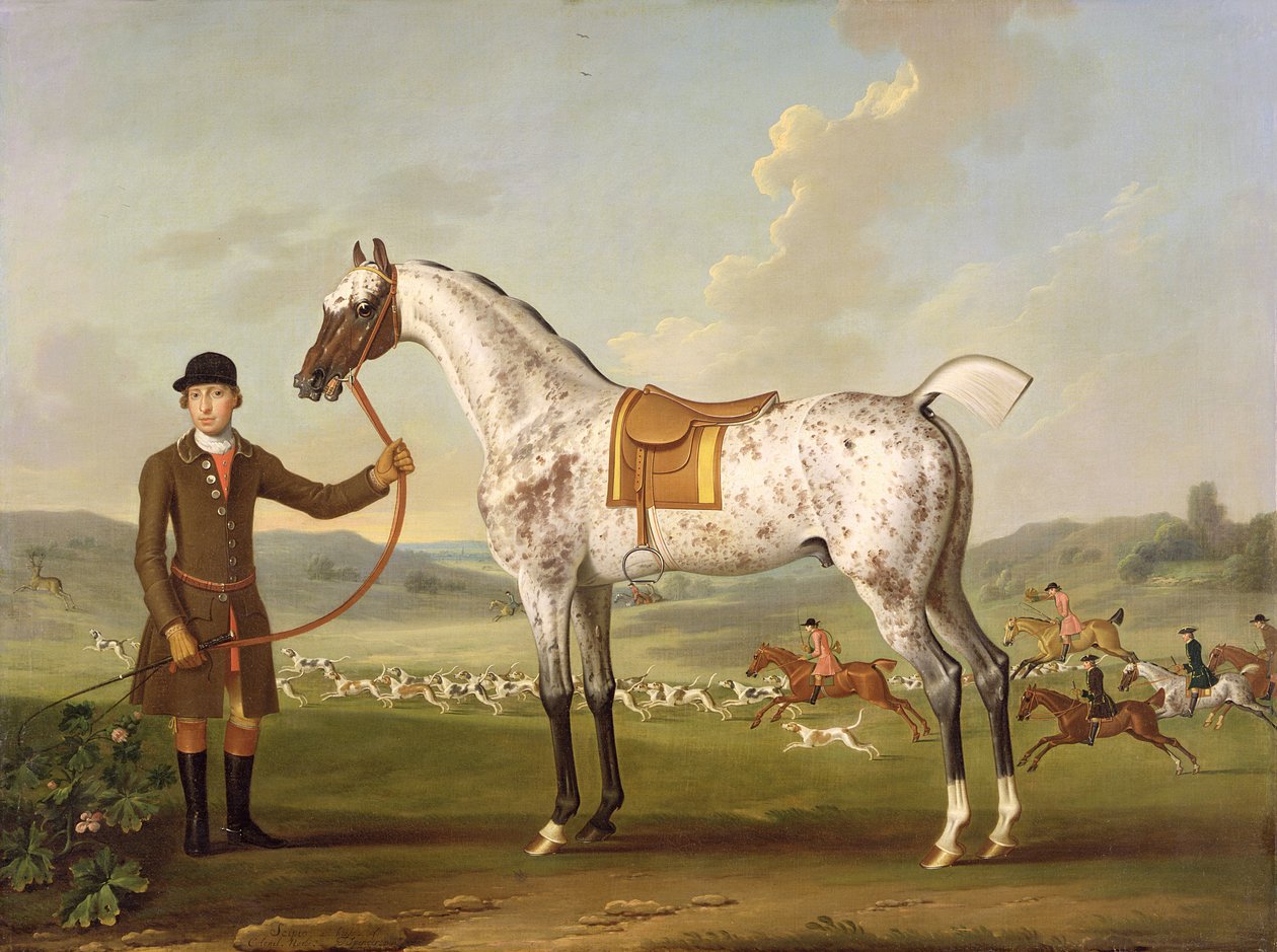 Scipio, oberst Roches flekkete jeger, ca. 1750 av Thomas Spencer