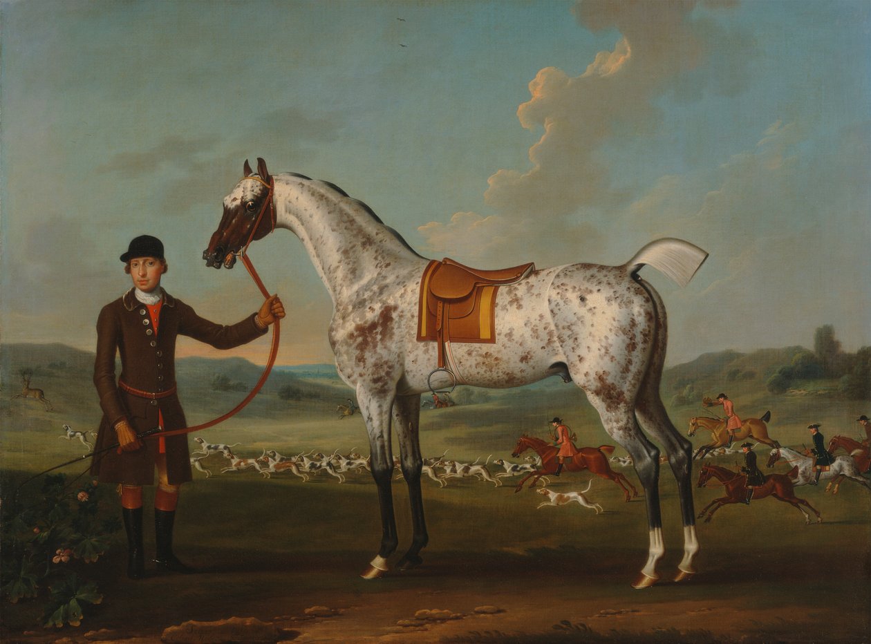Scipio, en flekket jeger, eiendommen til oberst Roche av Thomas Spencer
