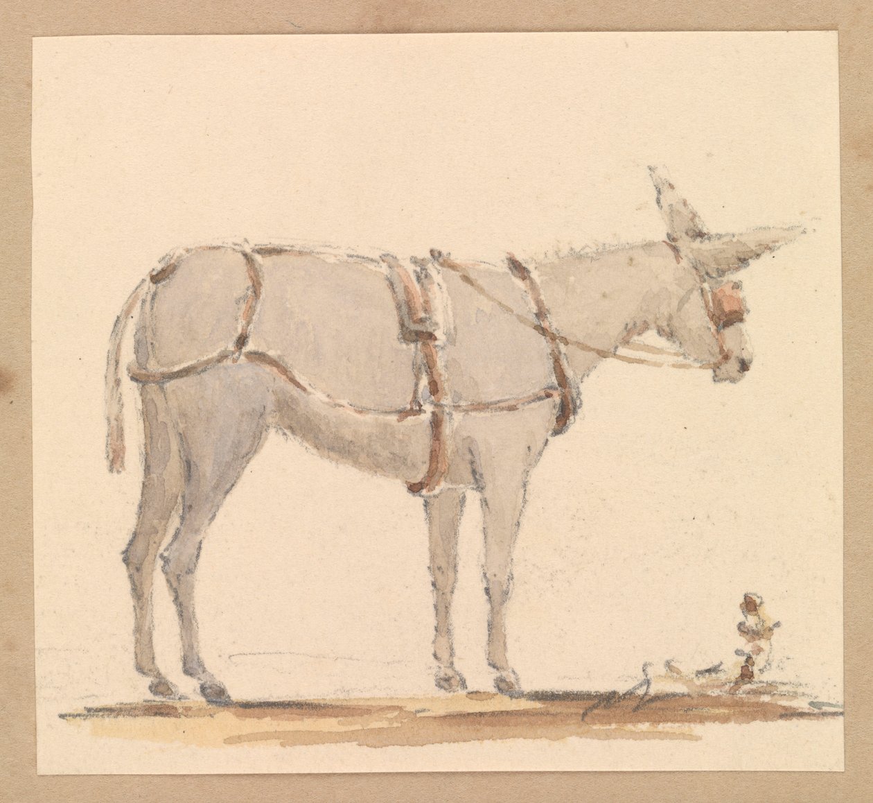  av Thomas Streatfeild