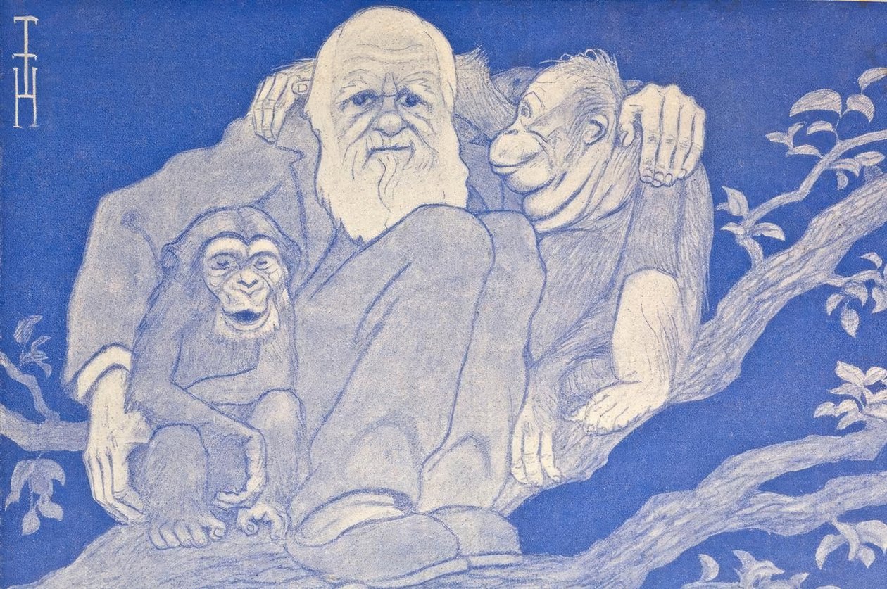 Tegneserie Darwin fra 1909 med apedetaljer av Thomas Theodor Heine