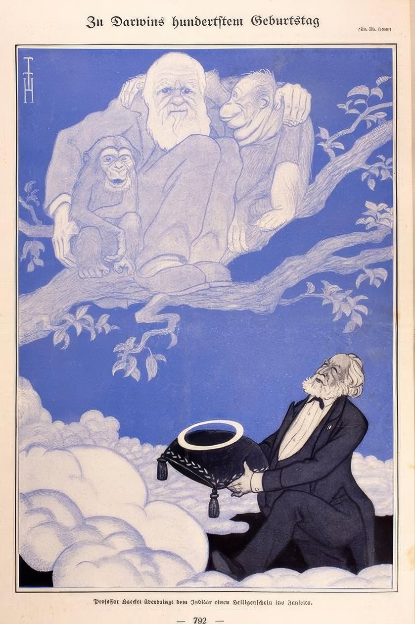 1909 karikatur Darwin, Apes, Haeckel av Thomas Theodor Heine