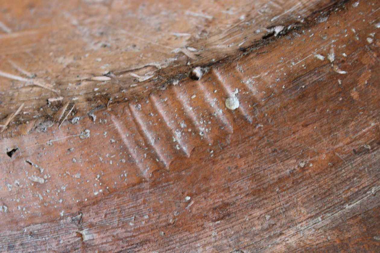 Detalj av baksiden av en Adam og Eva slipware-fat, North Staffordshire av Thomas Toft