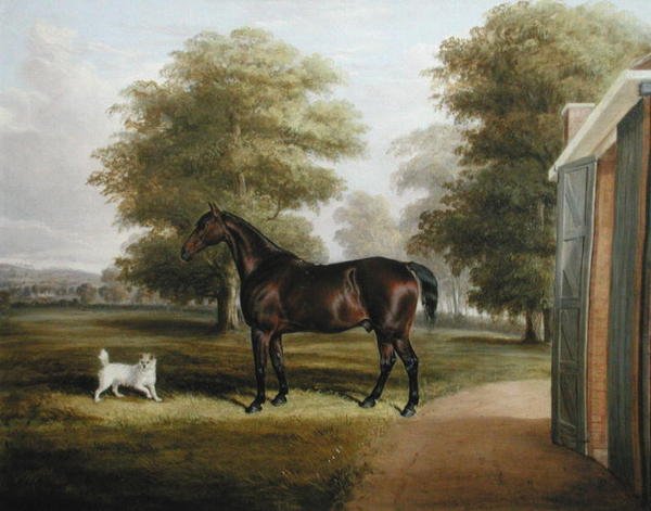 En Bay Horse med en terrier av Thomas W. Bretland