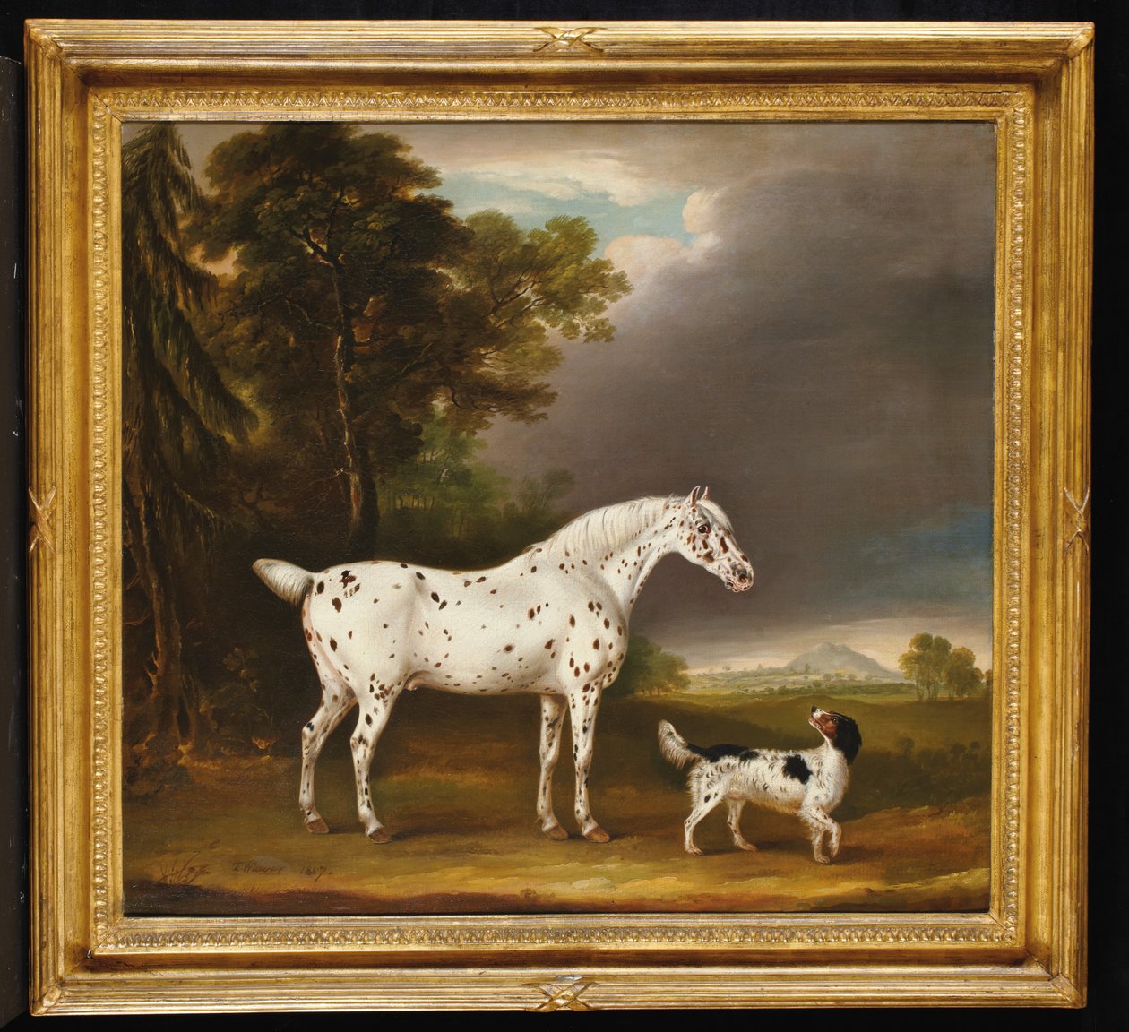 Appaloosa hest og spaniel, 1807 av Thomas Weaver