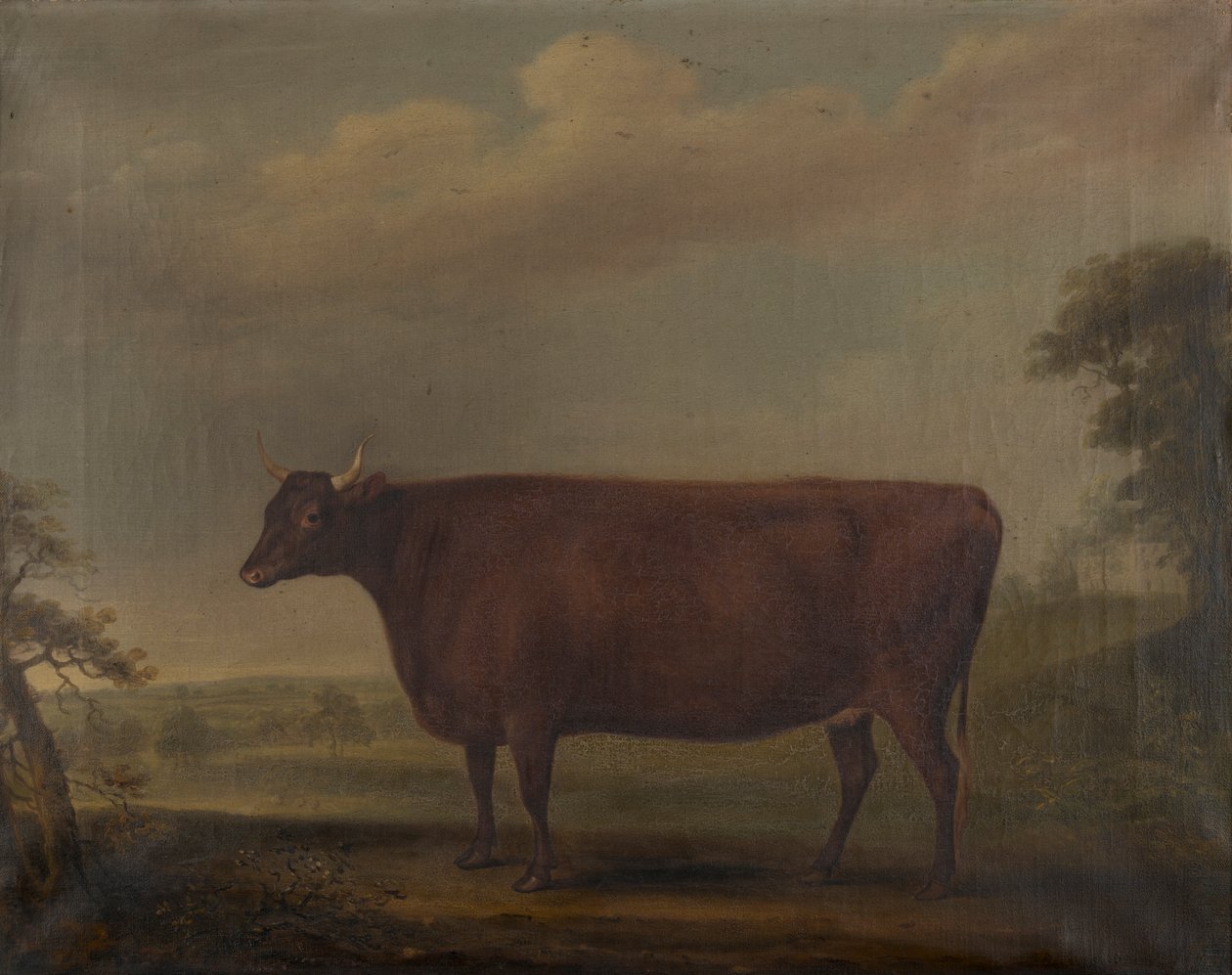 Røde Devon kviger i landskap, ca. 1812 (olje på lerret) av Thomas Weaver