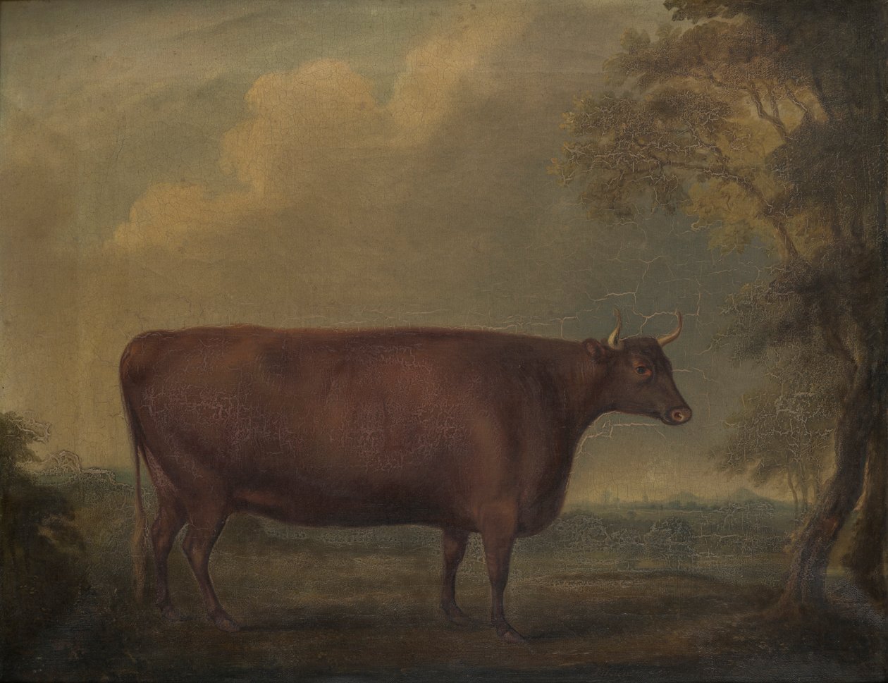 Røde Devon kviger i landskap, ca. 1812 (olje på lerret) av Thomas Weaver