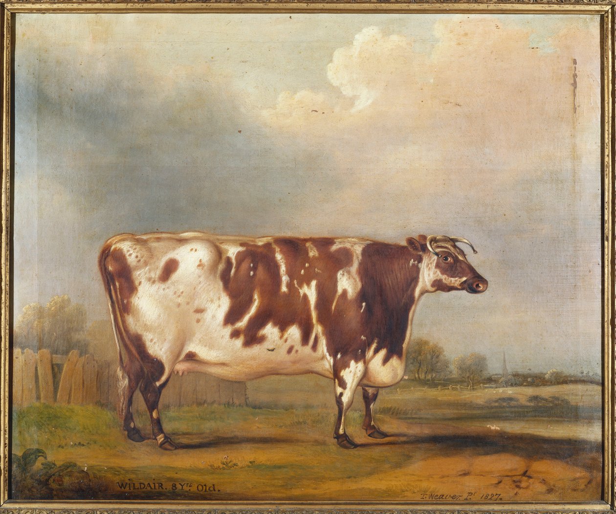Wildair, en åtte år gammel kvige i et elvelandskap, 1827 av Thomas Weaver