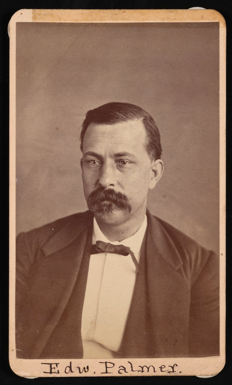 Portrett av Edward Palmer 1829-1911, før 1900. av Thomas William Smillie