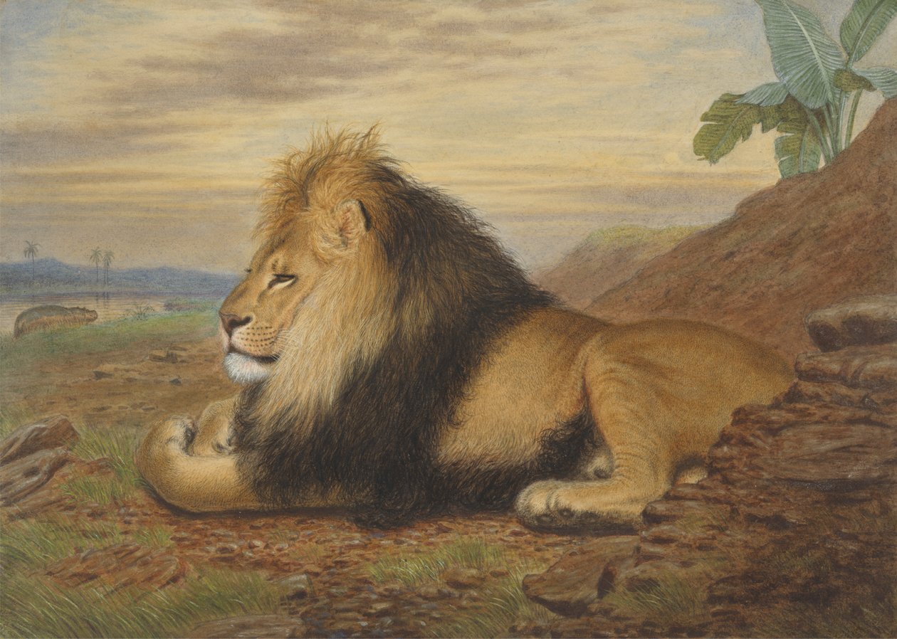 En løve av Thomas William Wood