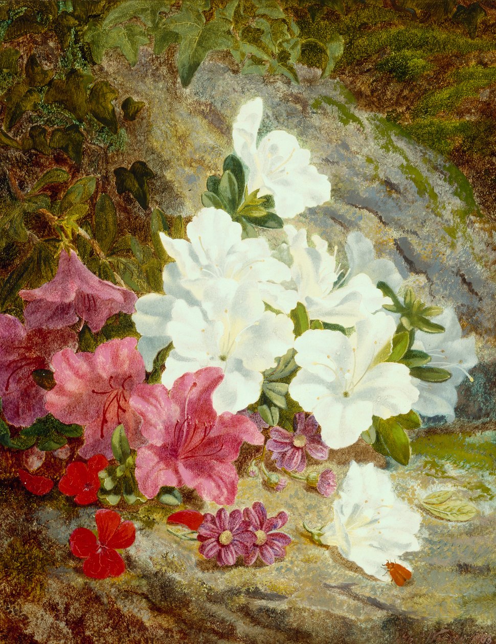 Azalea (olje på lerret) av Thomas Worsey