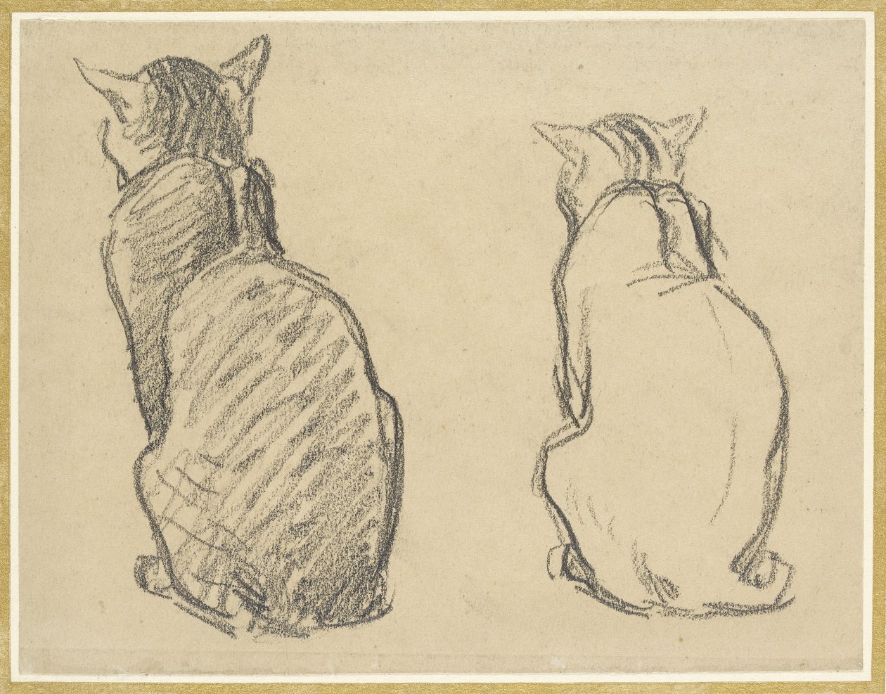 To studier av en katt (grafitt på misfarget vevd papir) av Théophile Alexandre Steinlen