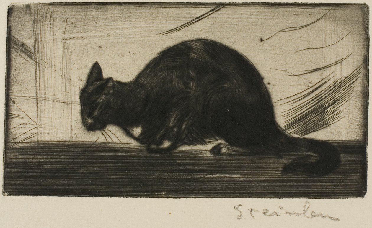  av Théophile Alexandre Pierre Steinlen