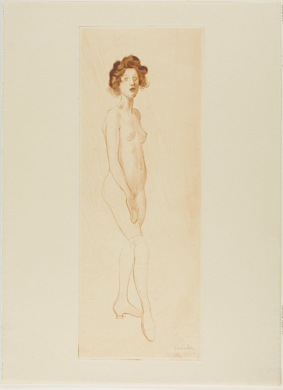  av Théophile Alexandre Pierre Steinlen