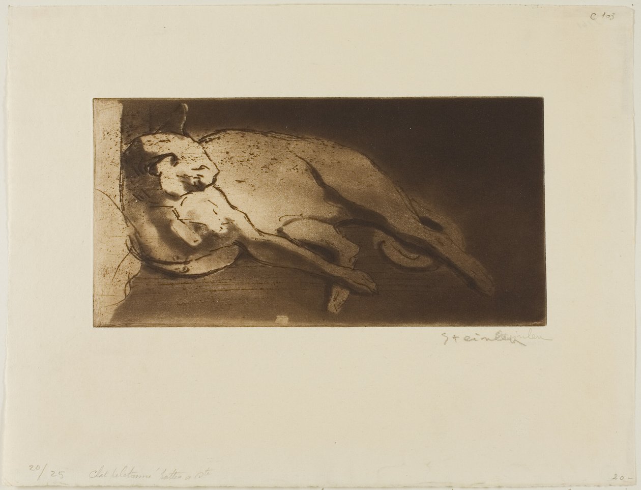  av Théophile Alexandre Pierre Steinlen