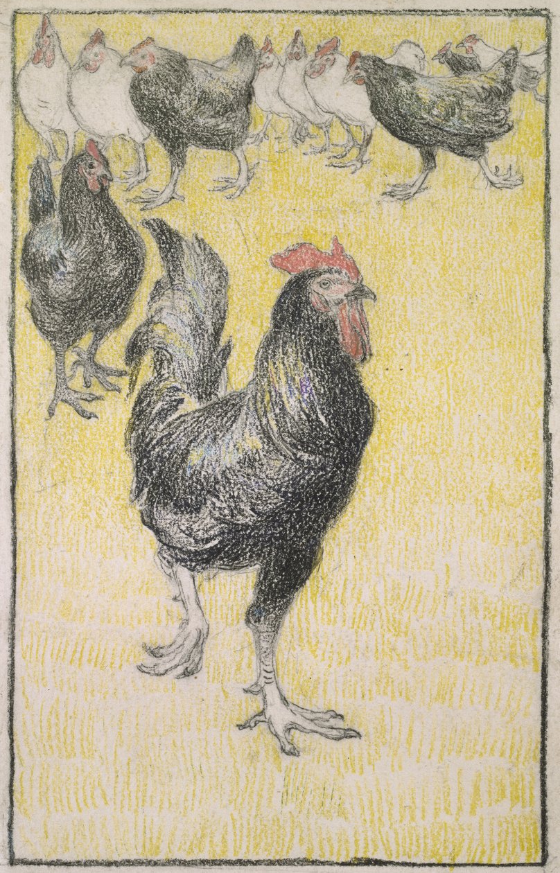 Hane, etterfulgt av svarte og hvite høner (grafitt med svart og farget kritt på hvitt papir, kantet med en linje i svart kritt) av Théophile Alexandre Steinlen