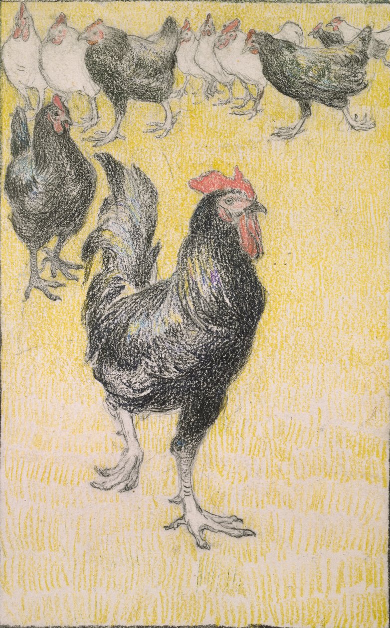 Hane, etterfulgt av svarte og hvite høner, 1899 av Théophile Alexandre Steinlen