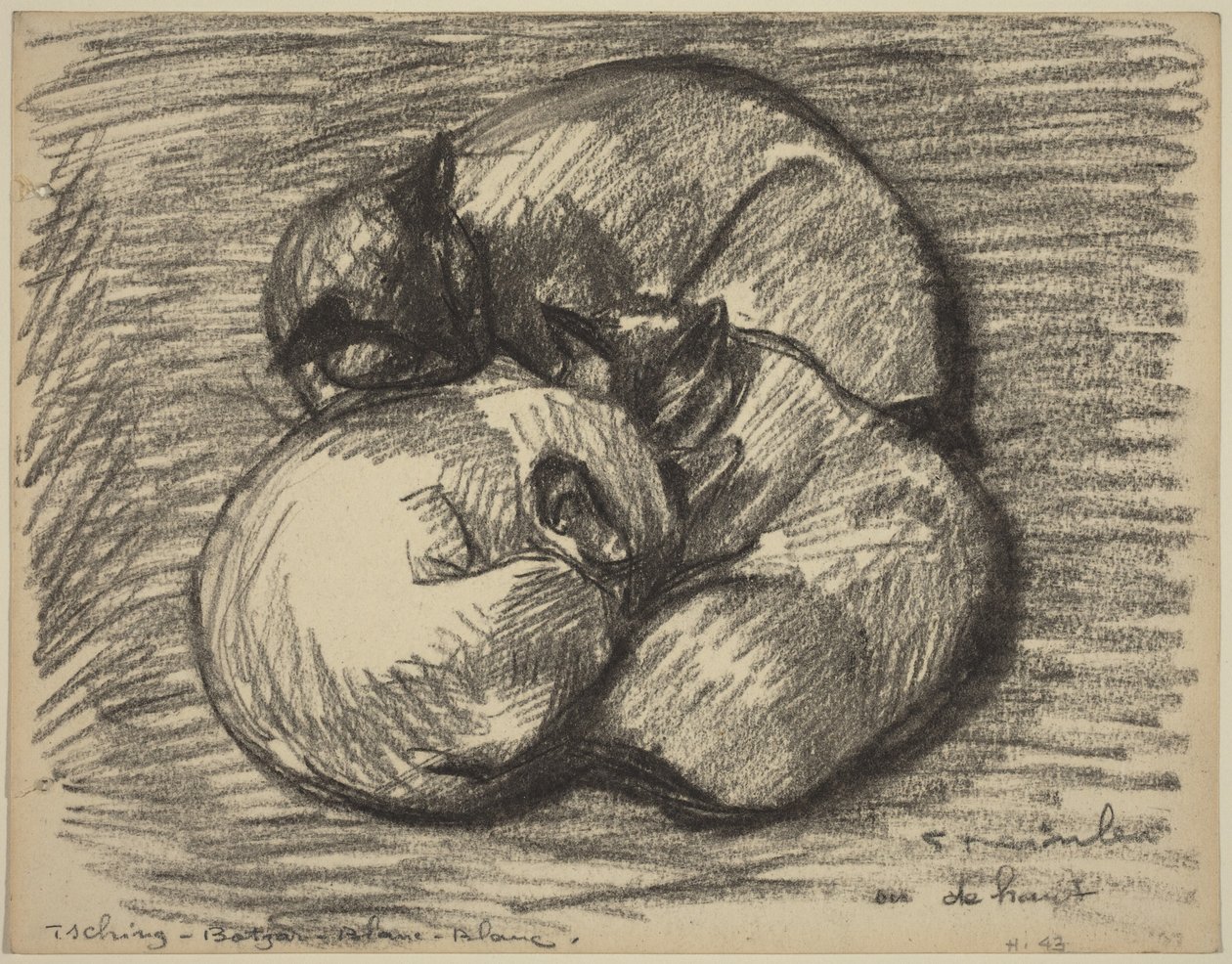 The Cats: Tsching, Batzar og Blanc-Blanc, slutten av 1800-begynnelsen av 1900-tallet. av Théophile Alexandre Steinlen