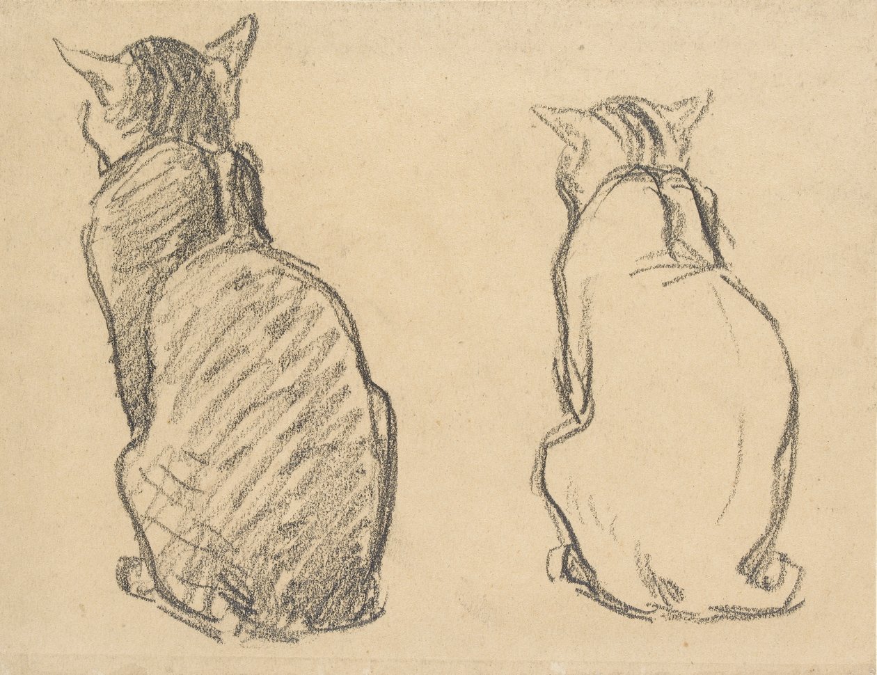 To studier av en katt, tidlig på 1900-tallet av Théophile Alexandre Steinlen