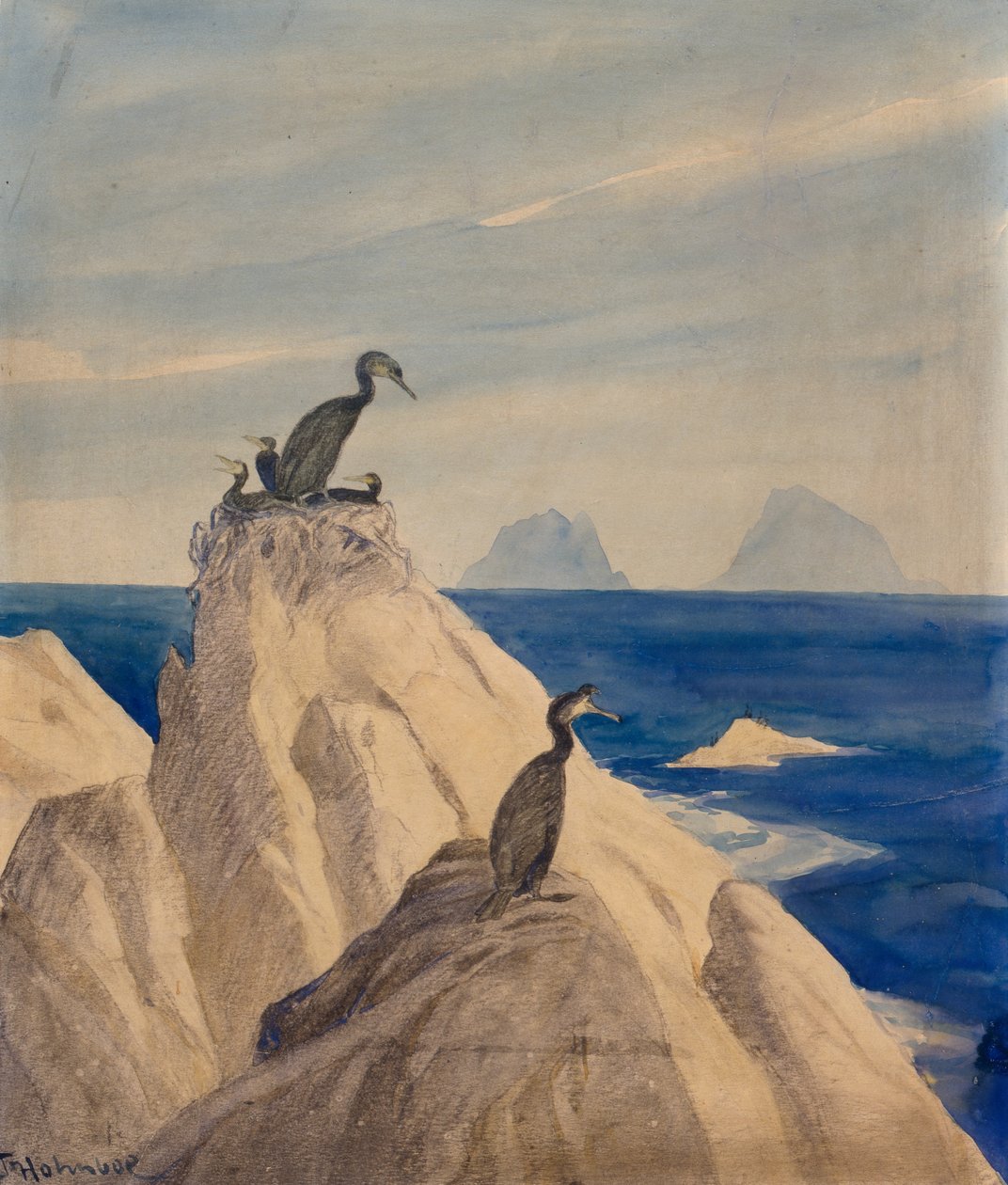 Northern Gannets (blyant og akvarell på papir) av Thorolf Holmboe