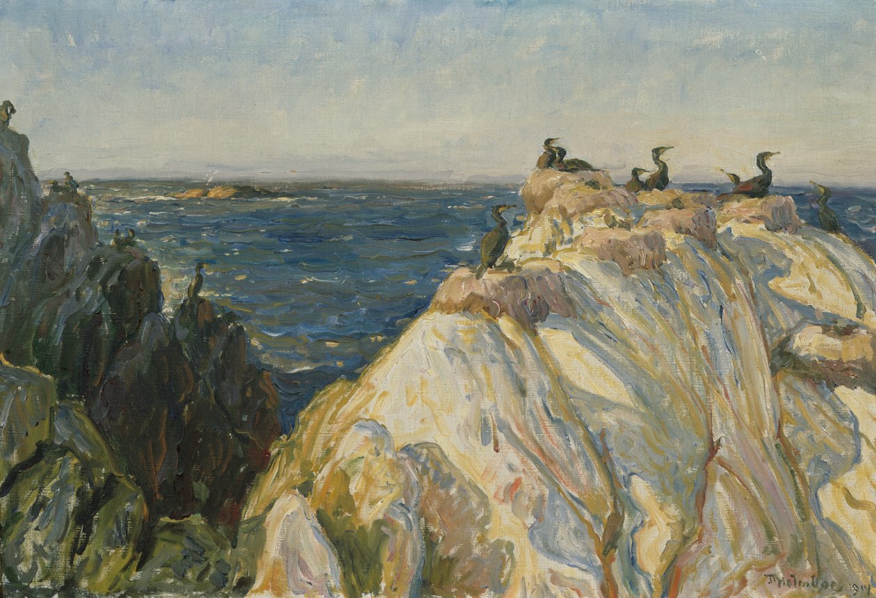 Sjøfugl av Thorolf Holmboe