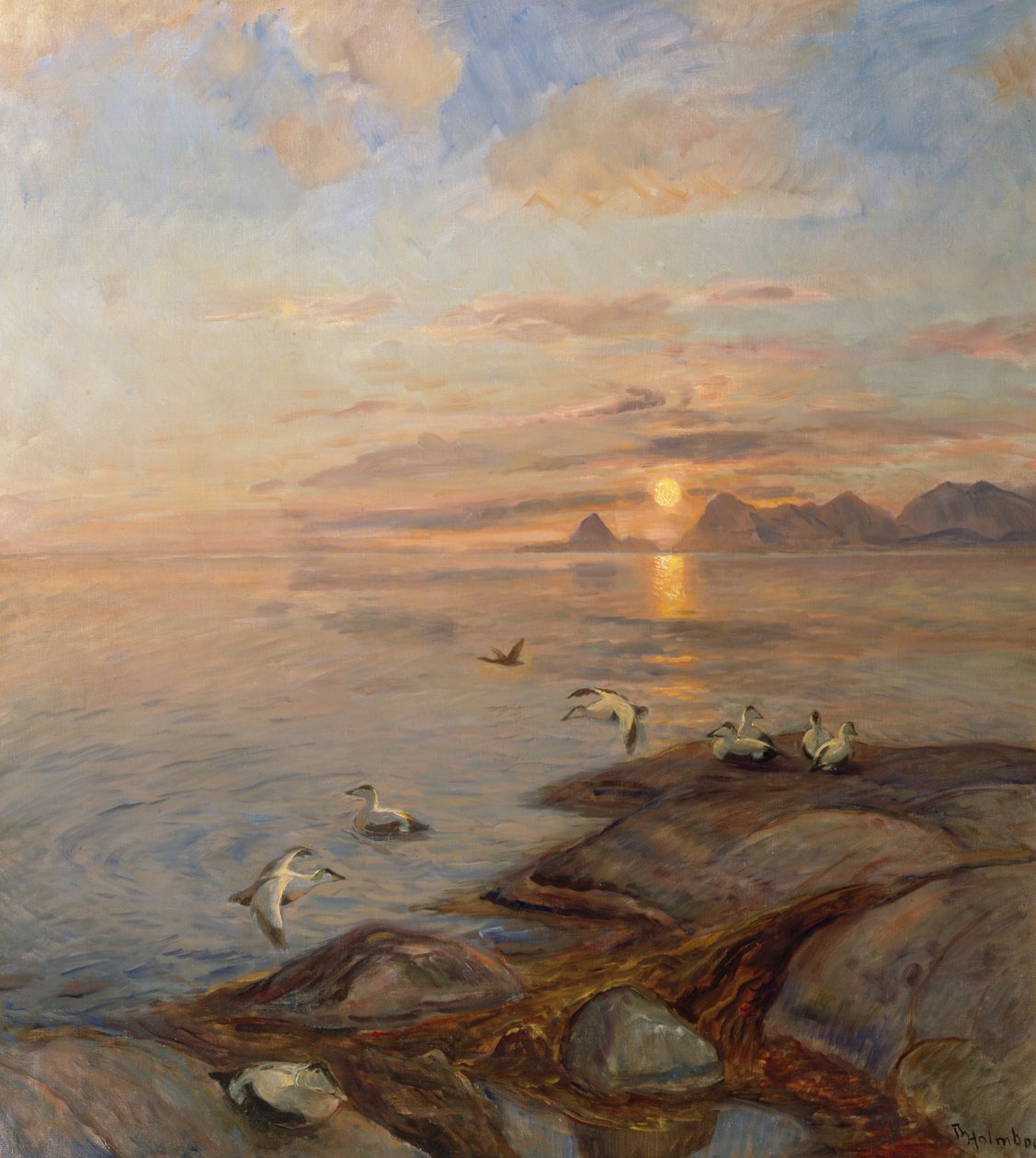 Sjøfugler i midnattssol (olje på lerret) av Thorolf Holmboe