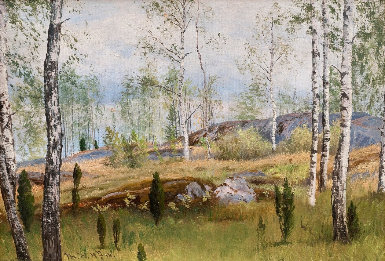 Bjørketrær av Thorsten Waenerberg