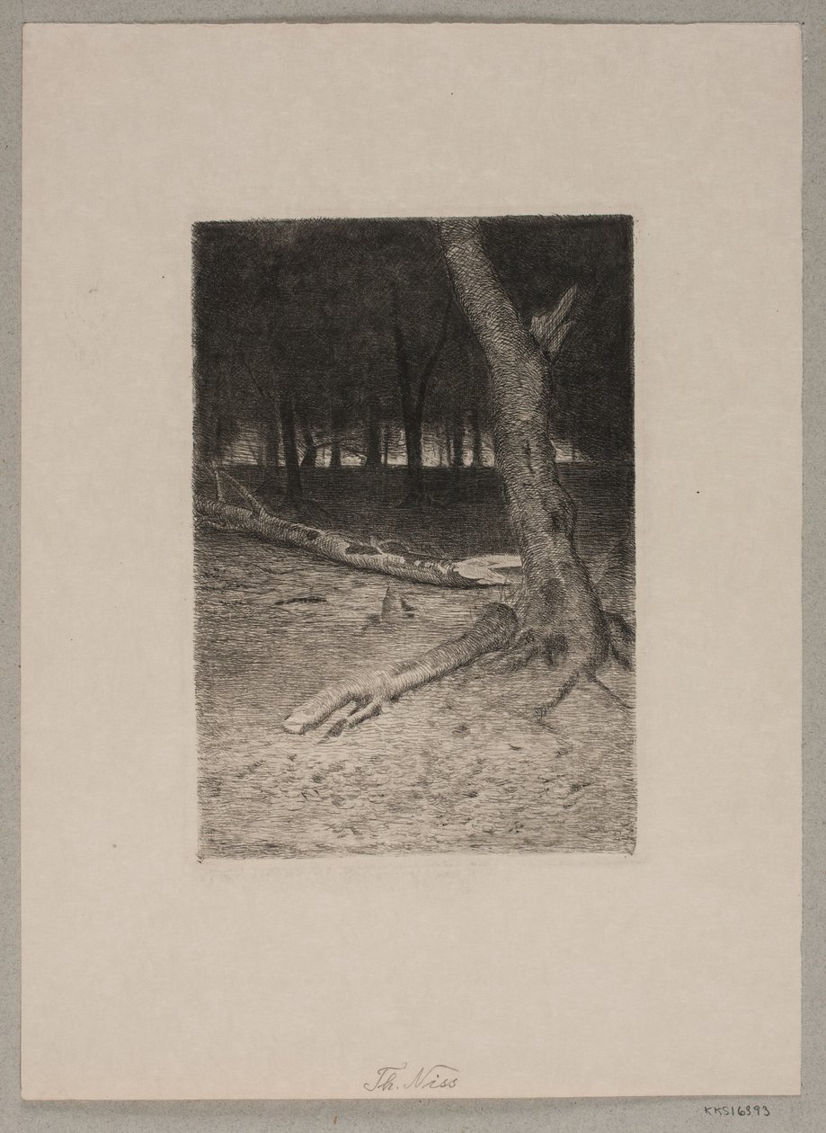 Skog interiør. Kveld av Thorvald Niss