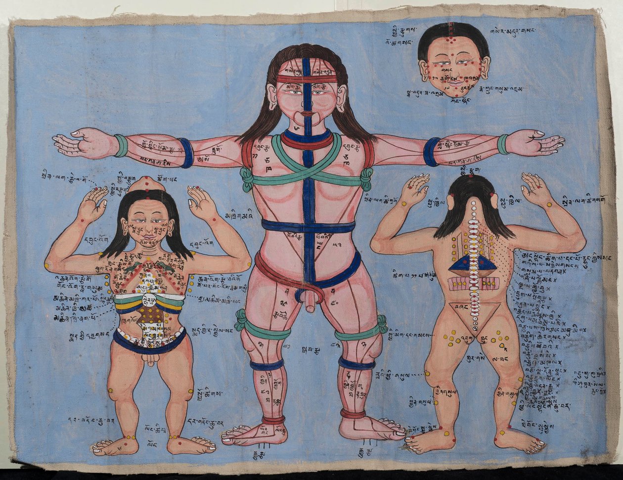 Anatomisk diagram (wc på lerret) av Tibetan School