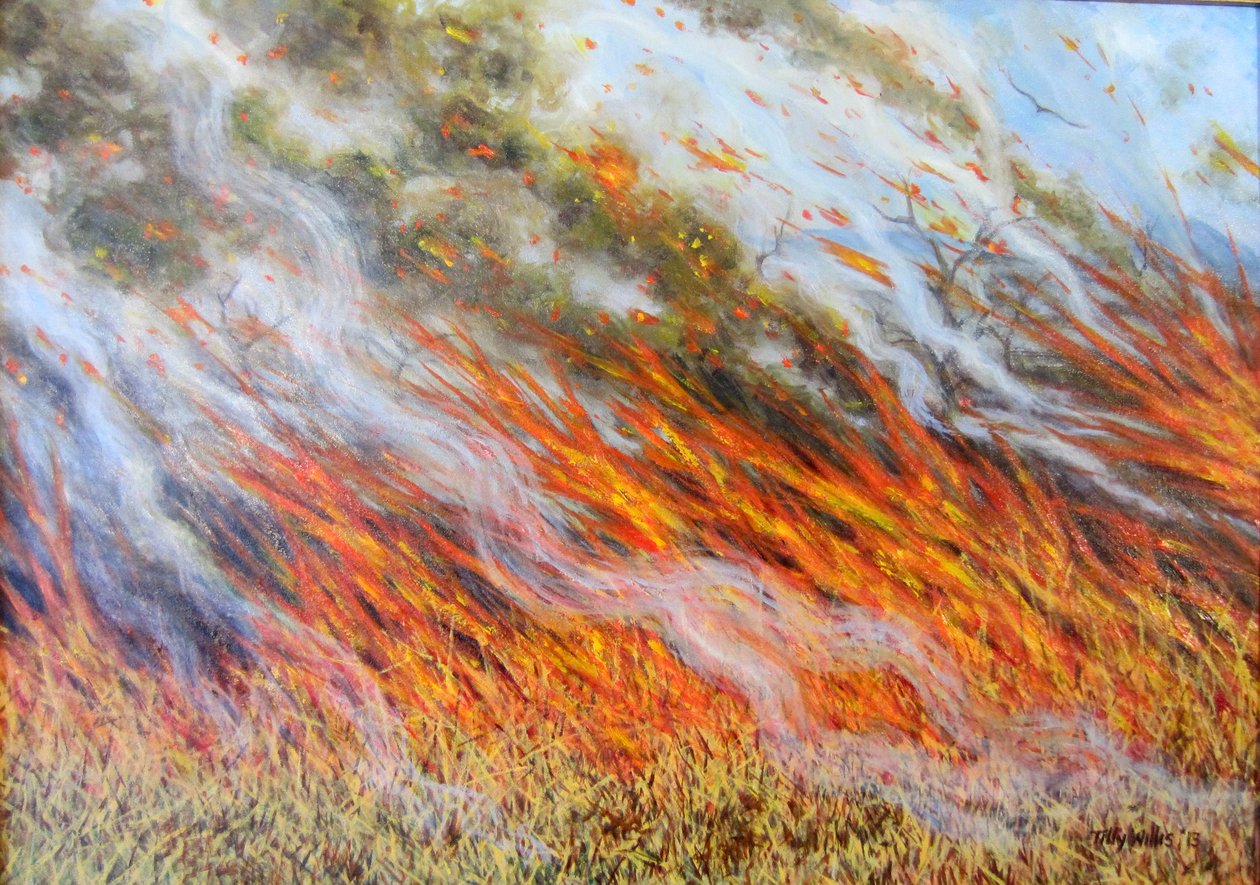 Bushfire Inferno, 2014, av Tilly Willis
