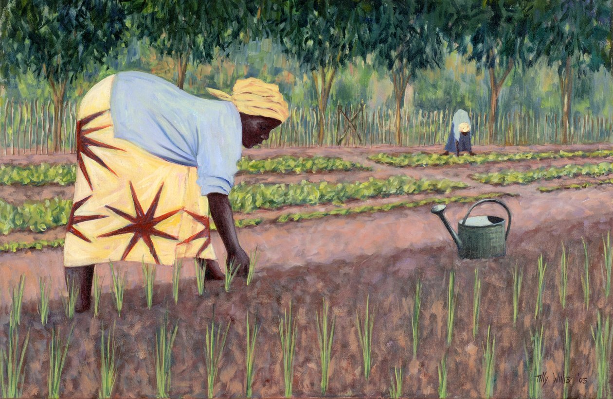 Plante løk, 2005 av Tilly Willis