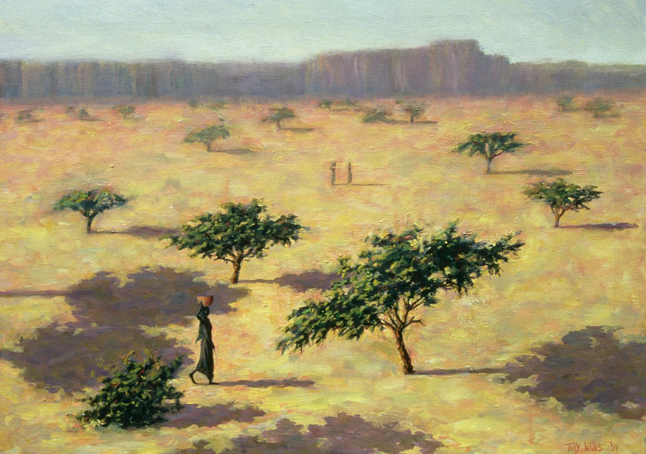 Sahellandskap, Mali, 1991 av Tilly Willis