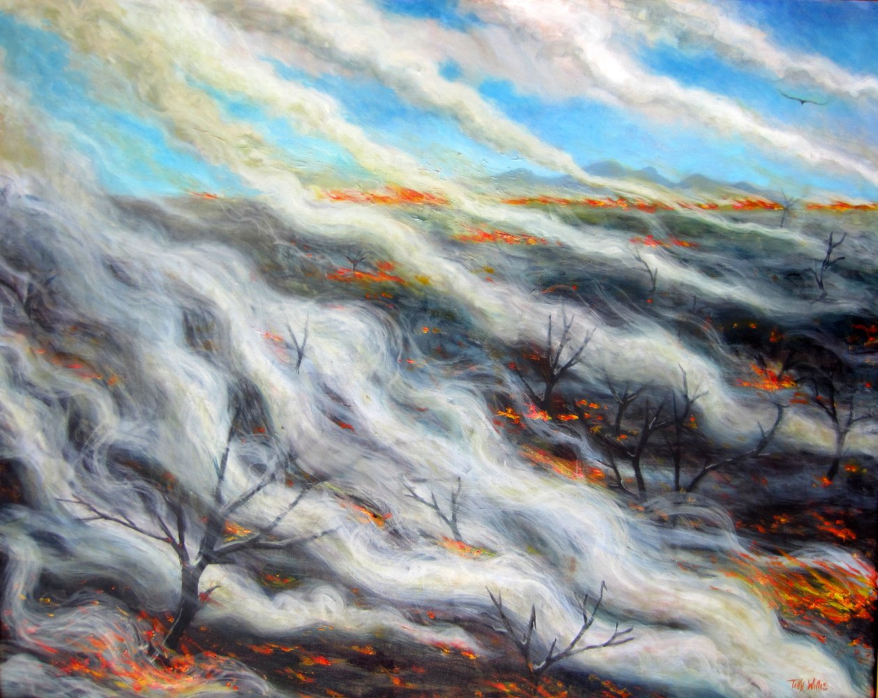 Svidd jord, 2014, av Tilly Willis