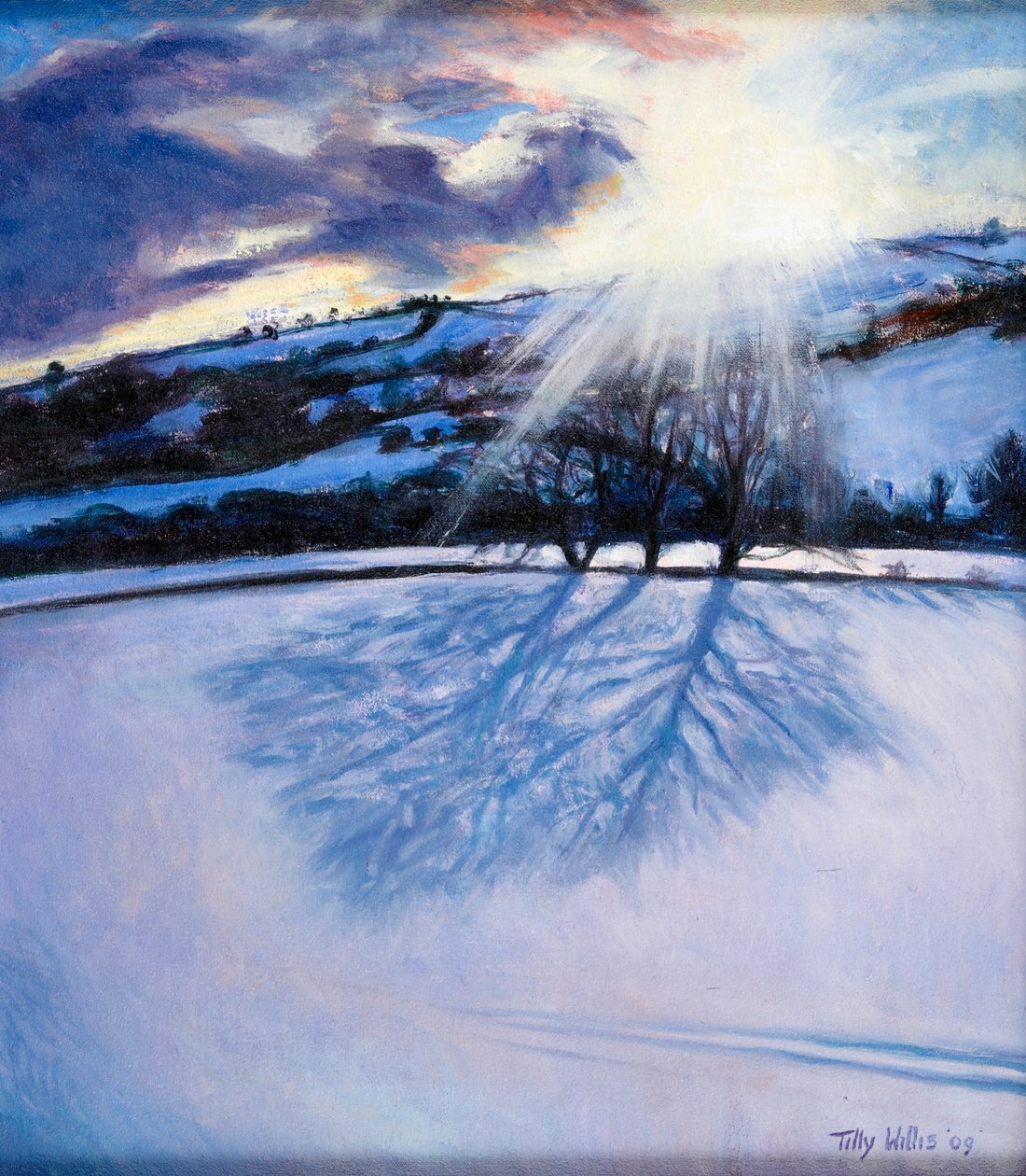 Snow Shadows, 2009 av Tilly Willis