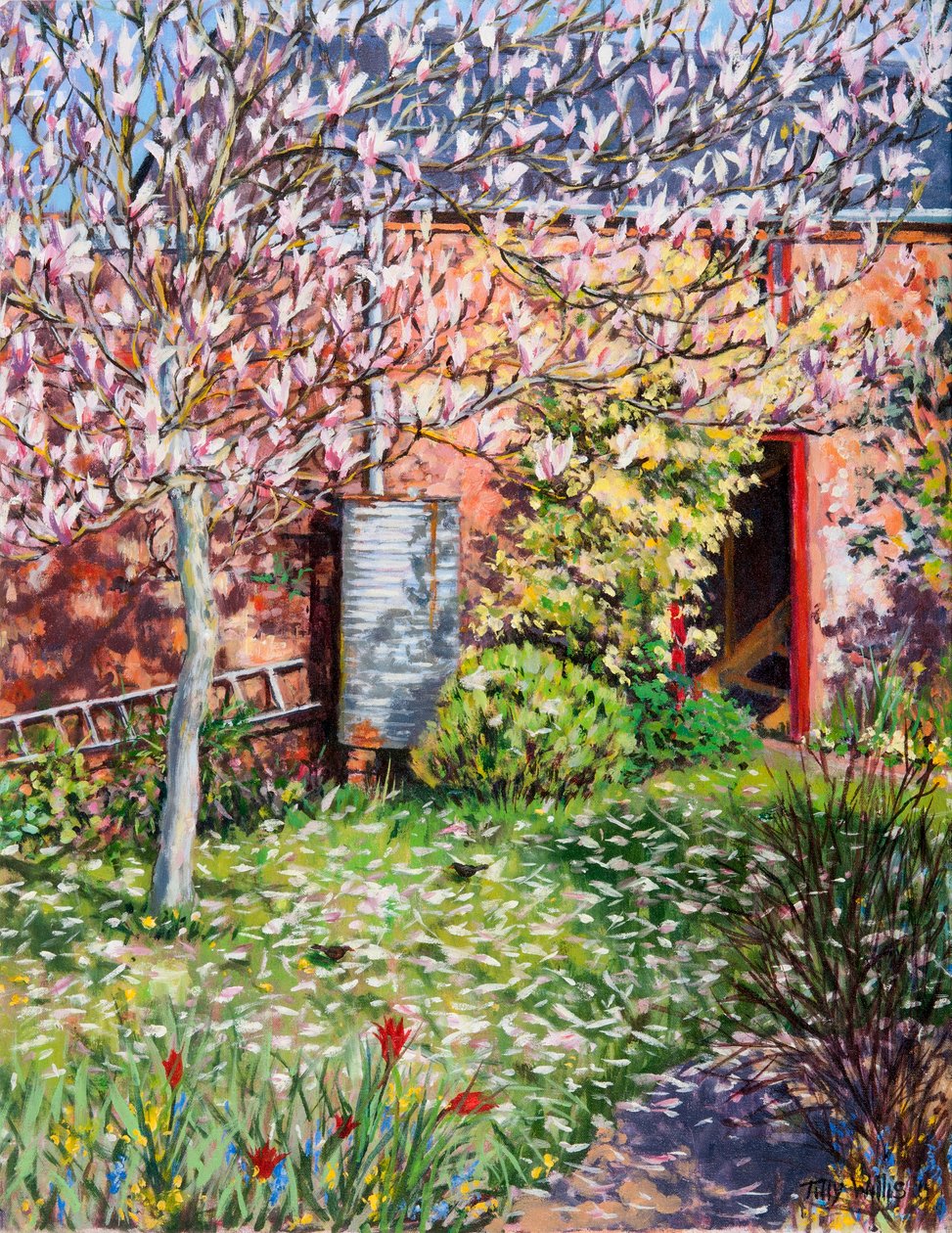 Under Magnolia av Tilly Willis