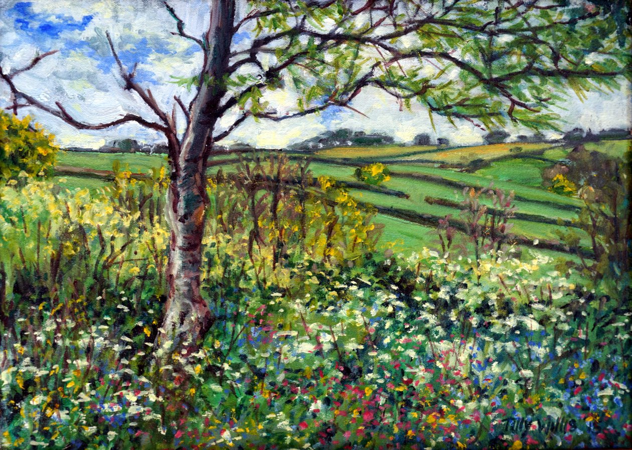 Across the Fields av Tilly Willis
