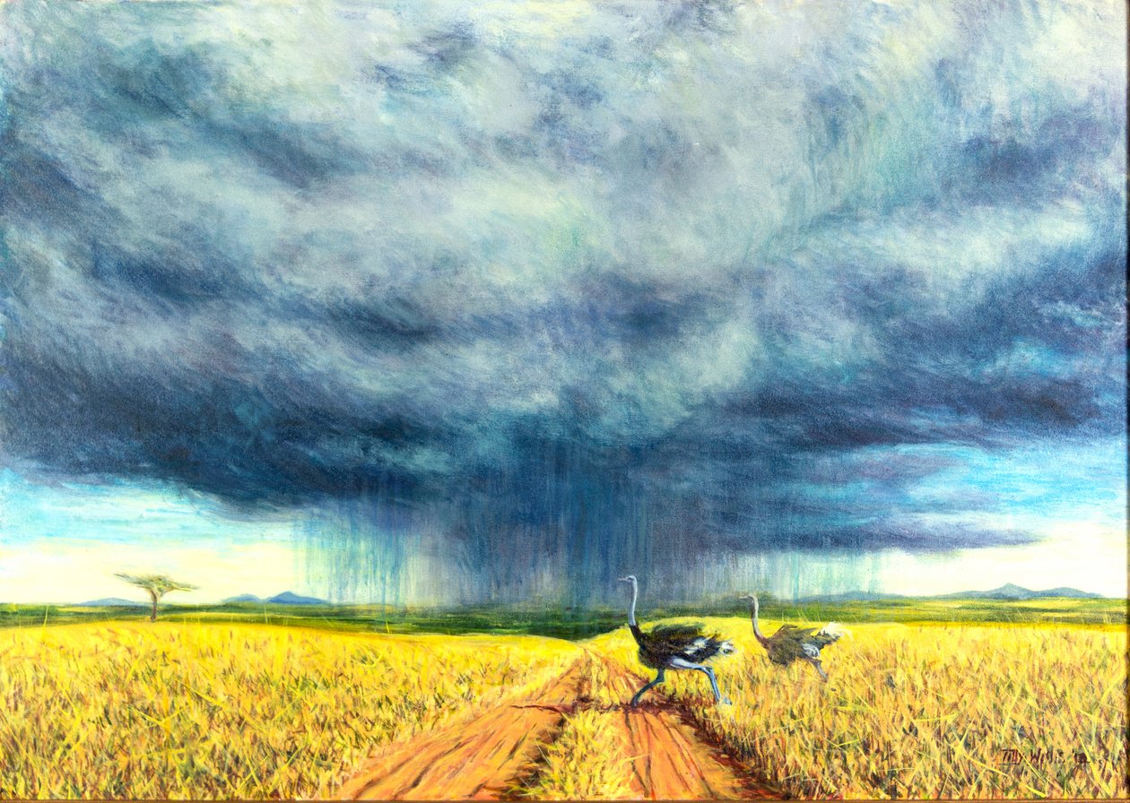 African Storm, 2016, av Tilly Willis