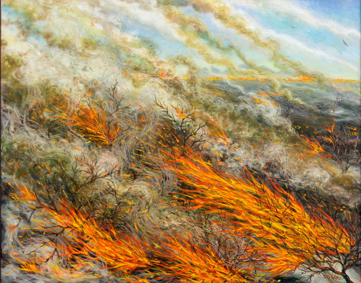 Blaze, 2016, av Tilly Willis