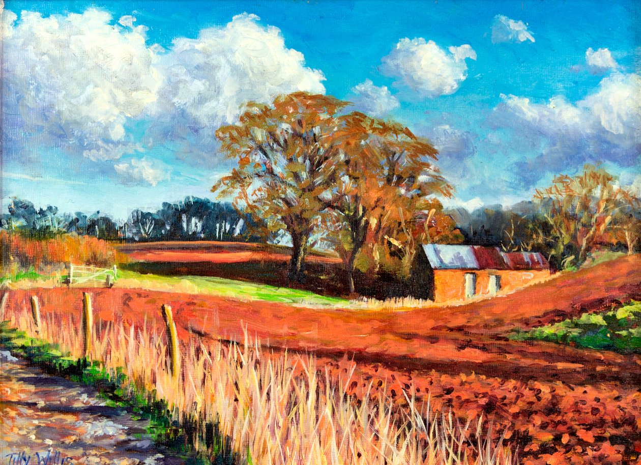 Country Barn, 2014, av Tilly Willis