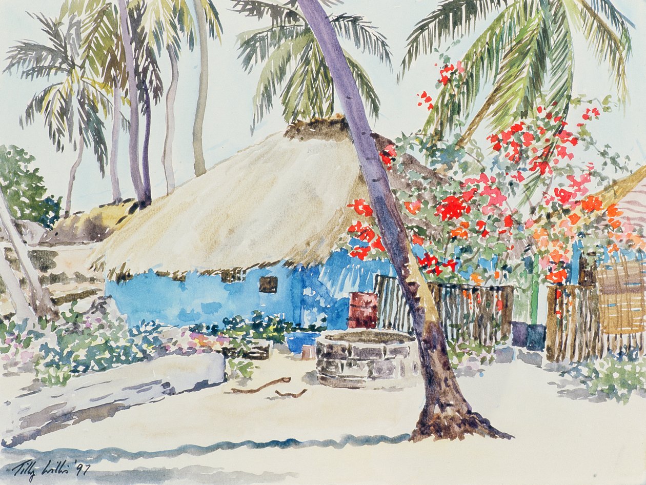 Det blå huset, 1997 av Tilly Willis