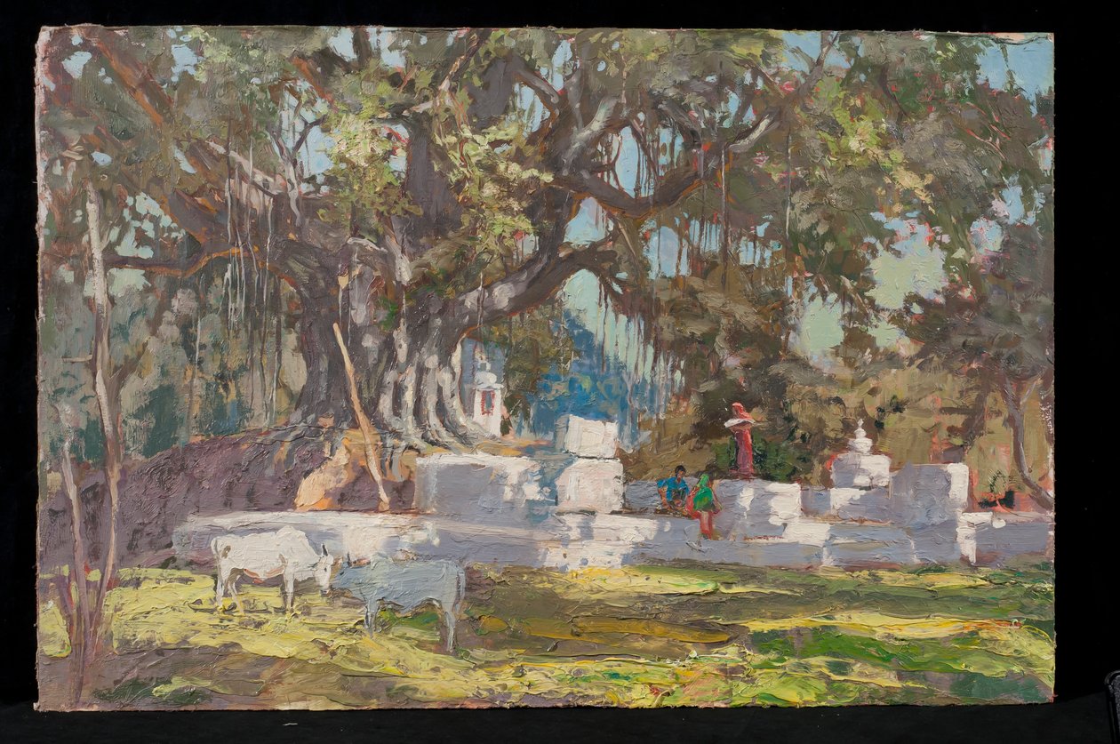 Kawardha Well og Banyan Tree av Tim Scott Bolton