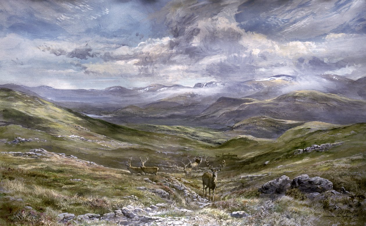 Kinrara, Aviemore, Skottland, 1988 (wc på papir) av Tim Scott Bolton