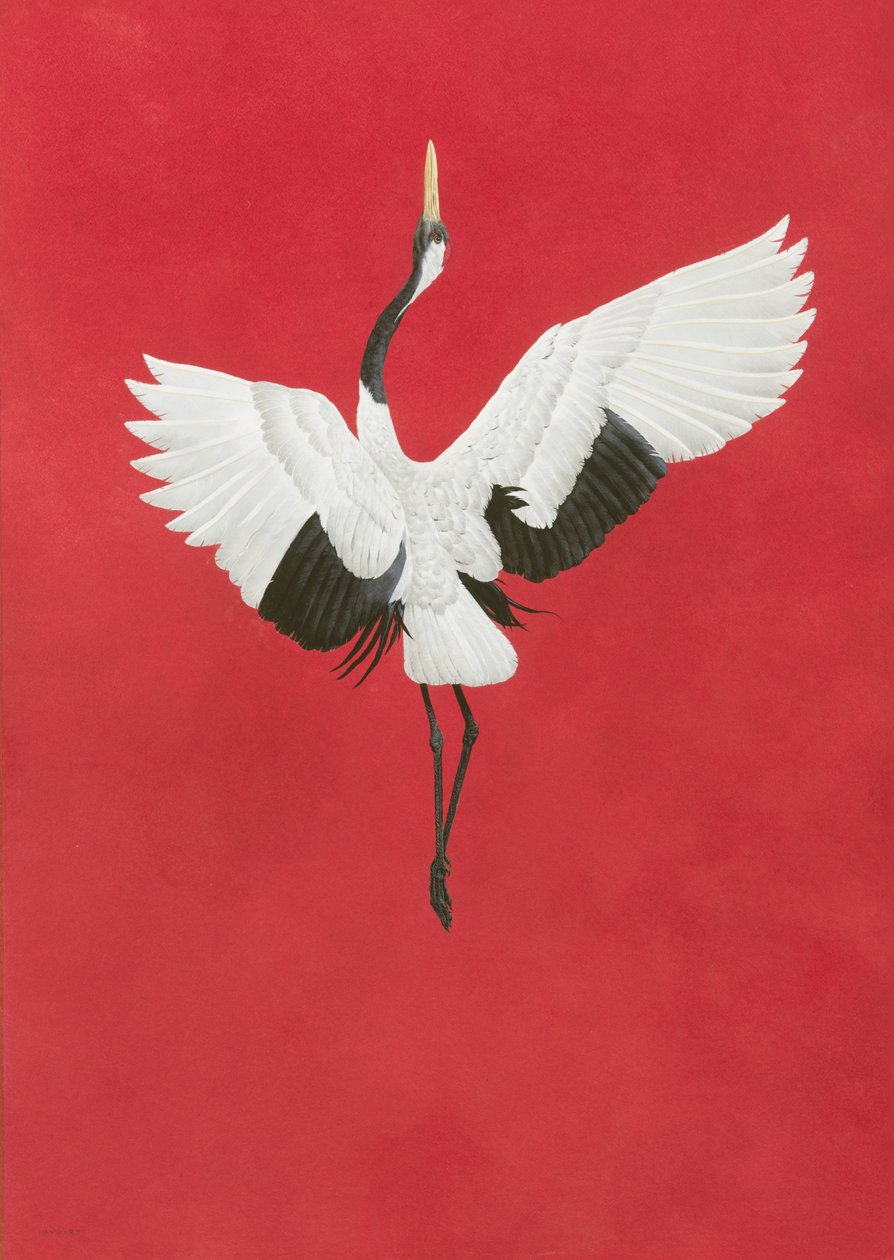 Dansen-Rød, Akvarell og gouache på buer 640gsm papir, 96 x 66 cm av Tim Hayward