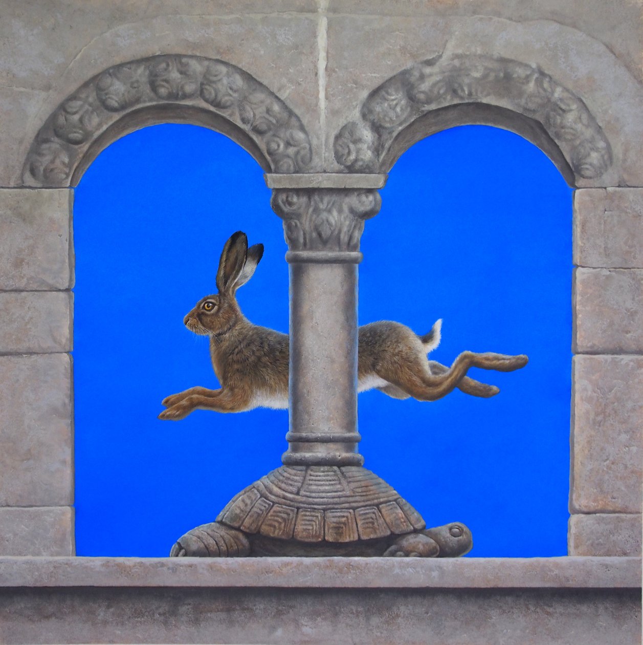 Haren og skilpadden av Tim Hayward