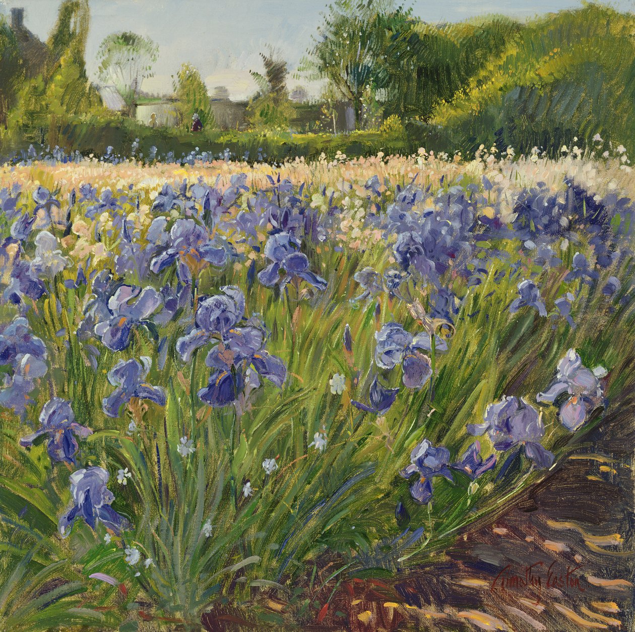 Over de blå irisene av Timothy Easton