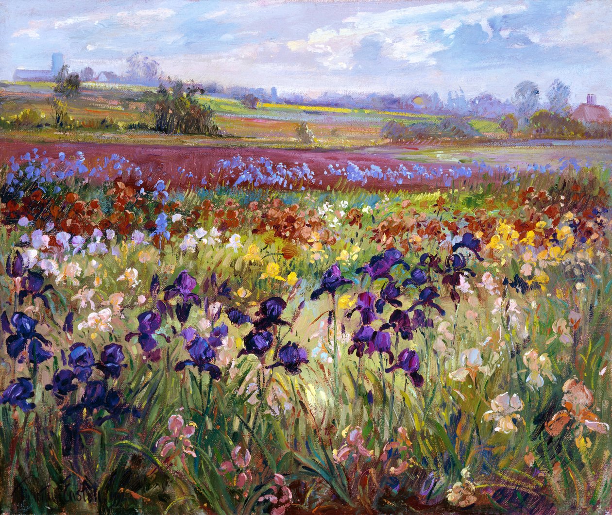 Over til Burgate av Timothy Easton