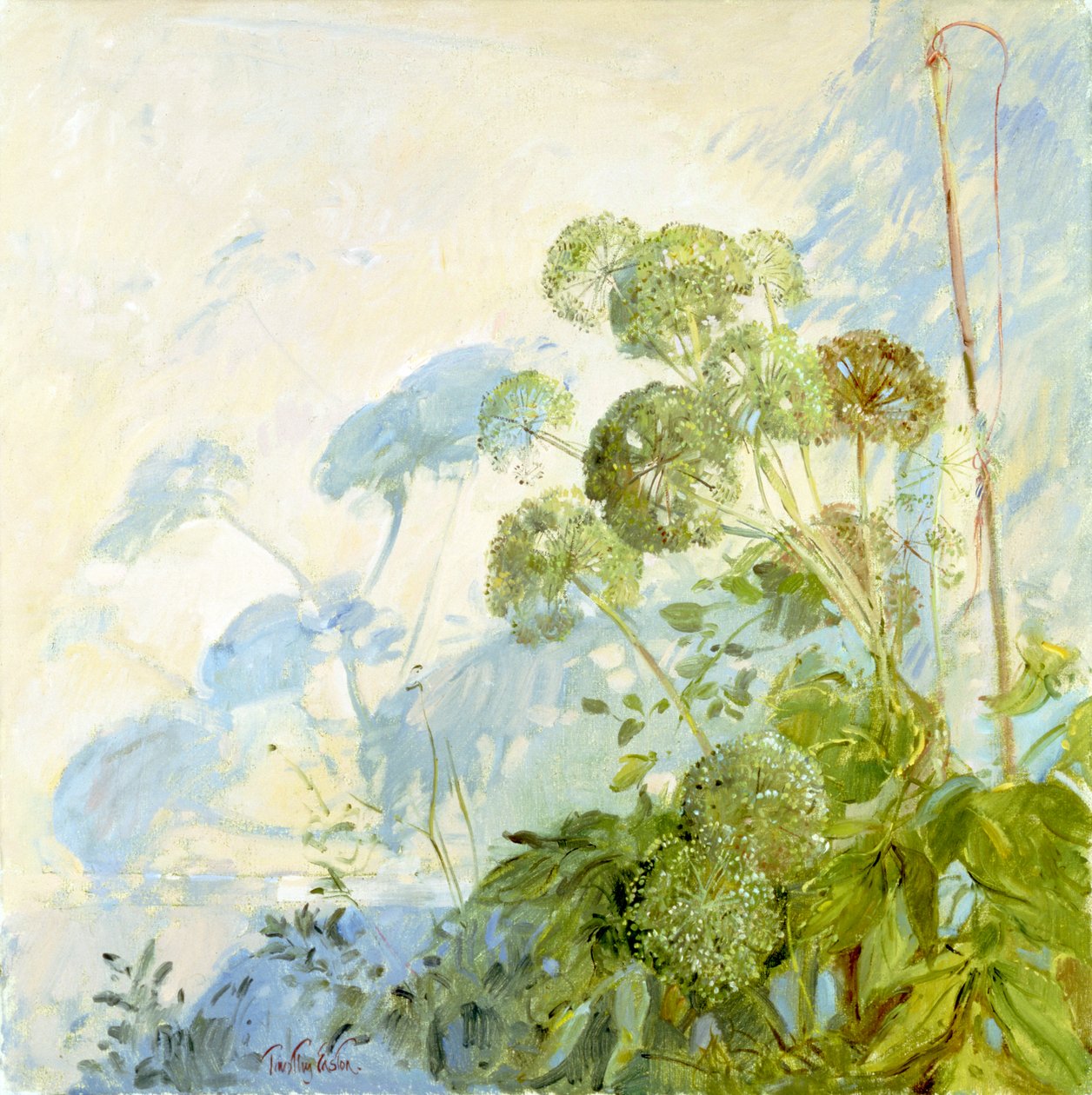Angelica Shadows av Timothy Easton